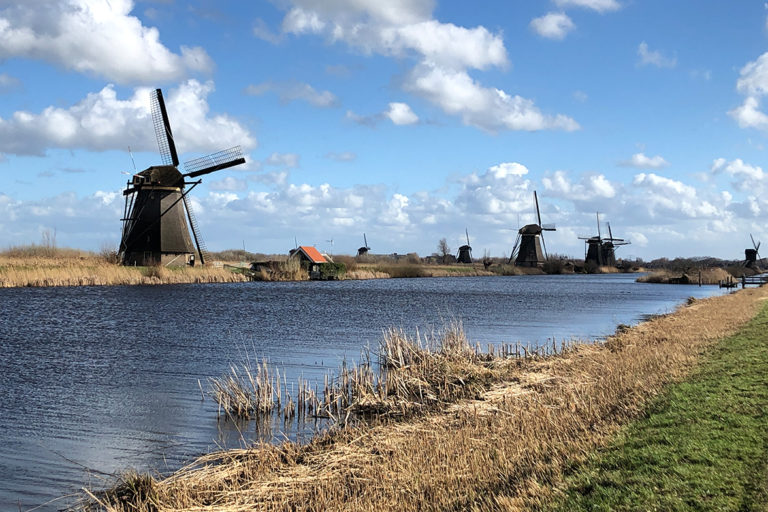 guided tours holland